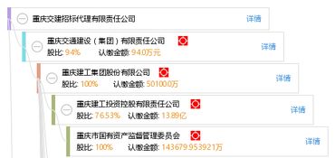 专业赋能，精确高效 重庆交建招标代理有限责任公司招投标代理服务解析
