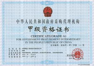 招标代理公司的专业角色与服务解析